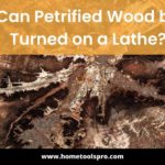 Can Petrified Wood be Turned on a Lathe? Read This Before Work With Petrified Wood on Your Lathe