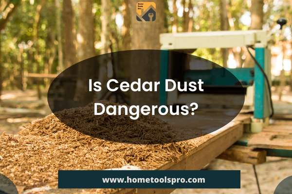 Is Cedar Dust Dangerous?