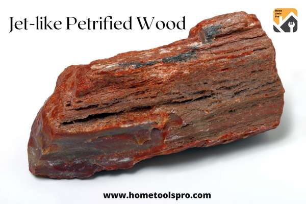 Jet-like Petrified Wood: